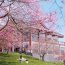 龙岩旅游 缩略图 8