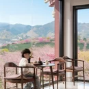 龙岩旅游 缩略图 12