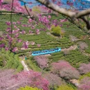 龙岩旅游 缩略图 10