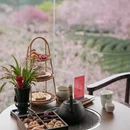 龙岩旅游 缩略图 13