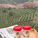 龙岩旅游 缩略图 9