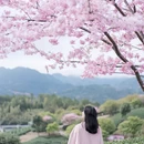龙岩旅游 缩略图 1