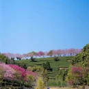 龙岩旅游 缩略图 14
