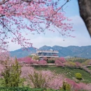 龙岩旅游 缩略图 11