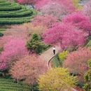 龙岩旅游 缩略图 2