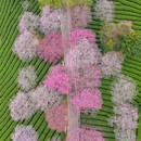 龙岩旅游 缩略图 6