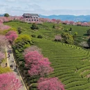龙岩旅游 缩略图 16