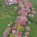 龙岩旅游 缩略图 17