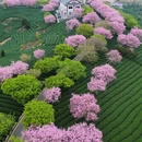 龙岩旅游 缩略图 4