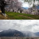 林芝旅游 缩略图 6