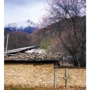 林芝旅游 缩略图 3