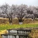林芝旅游 缩略图 2