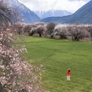 林芝旅游 缩略图 6