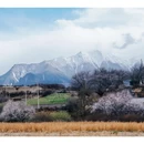 林芝旅游 缩略图 7