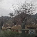 林芝旅游 缩略图 3