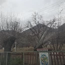 林芝旅游 缩略图 4