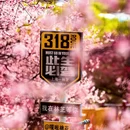 林芝旅游 缩略图 3