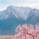 林芝旅游 缩略图 2