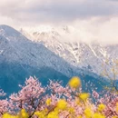 林芝旅游 缩略图 1
