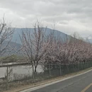 林芝旅游 缩略图 2