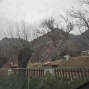 林芝旅游 缩略图 6