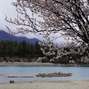 林芝旅游 缩略图 8
