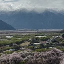 林芝旅游 缩略图 2