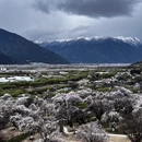 林芝旅游 缩略图 3