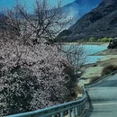 林芝旅游 缩略图 9