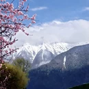 林芝旅游 缩略图 3