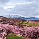 林芝旅游 缩略图 2