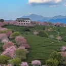 福州旅游 缩略图 1