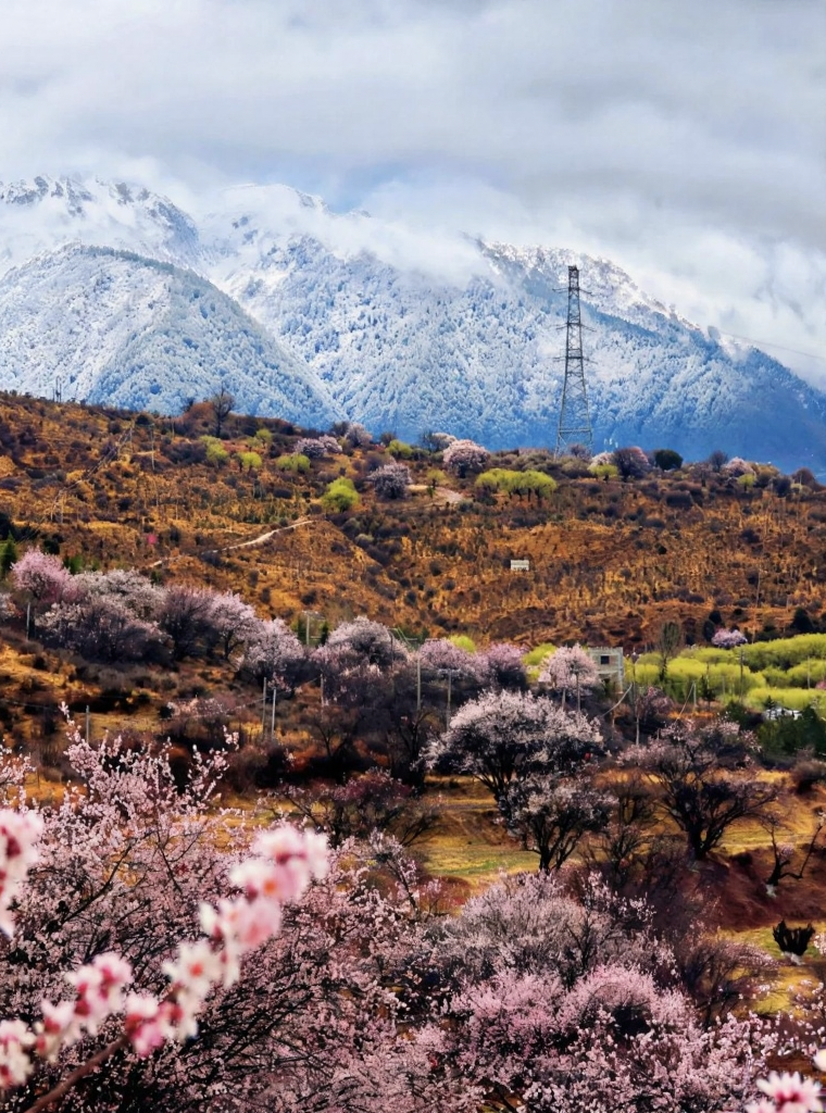 林芝旅游