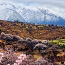 林芝旅游 缩略图 1