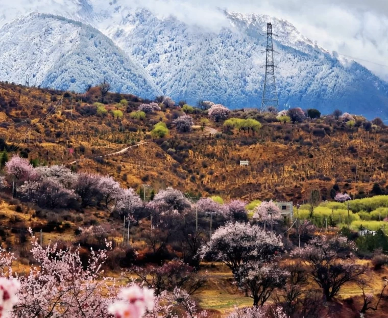 林芝旅游 1