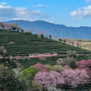 福州旅游 缩略图 2