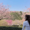 漳州旅游 缩略图 1