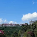 福州旅游 缩略图 3
