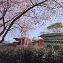 漳州旅游 缩略图 2