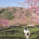 漳州旅游 缩略图 3