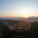 漳州旅游 缩略图 4