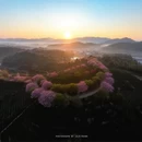 漳州旅游 缩略图 2