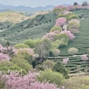 漳州旅游 缩略图 6