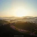 漳州旅游 缩略图 5