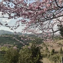 龙岩旅游 缩略图 5