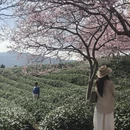 龙岩旅游 缩略图 3