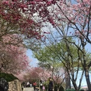龙岩旅游 缩略图 2
