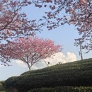 龙岩旅游 缩略图 7