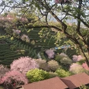 龙岩旅游 缩略图 6