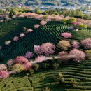 福州旅游 缩略图 3